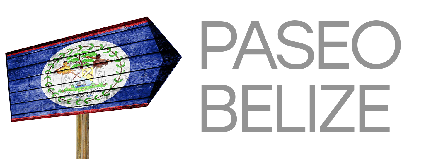 Paseo Belize | Travel Technology Partner